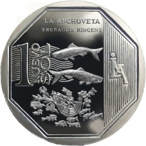 UN NUEVO SOL - RECURSOS NATURALES LA ANCHOVETA (UNC)