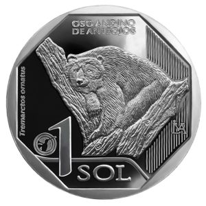 UN SOL - OSO ANDINO DE ANTEOJOS (UNC)