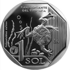 UN SOL - RANA GIGANTE DEL TITICACA (UNC)